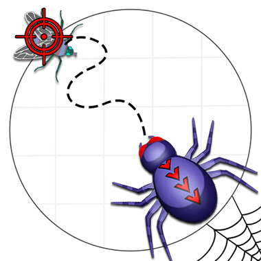 Lucas The Spider
